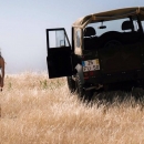 Girl and Land Rover