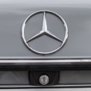 Mercedes W123 (12)