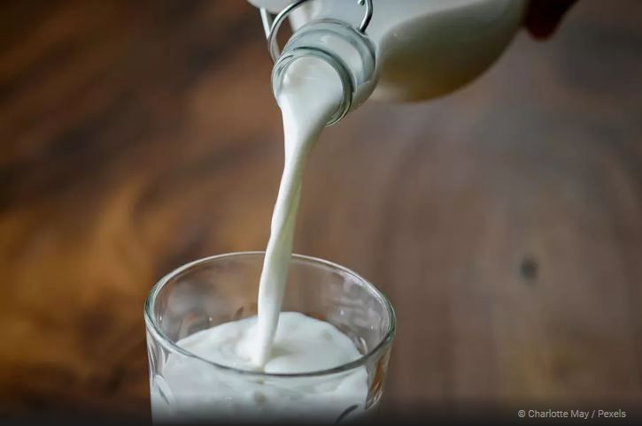 რძისგან ბიო-საწვავის დამზადებას დაიწყებენ 